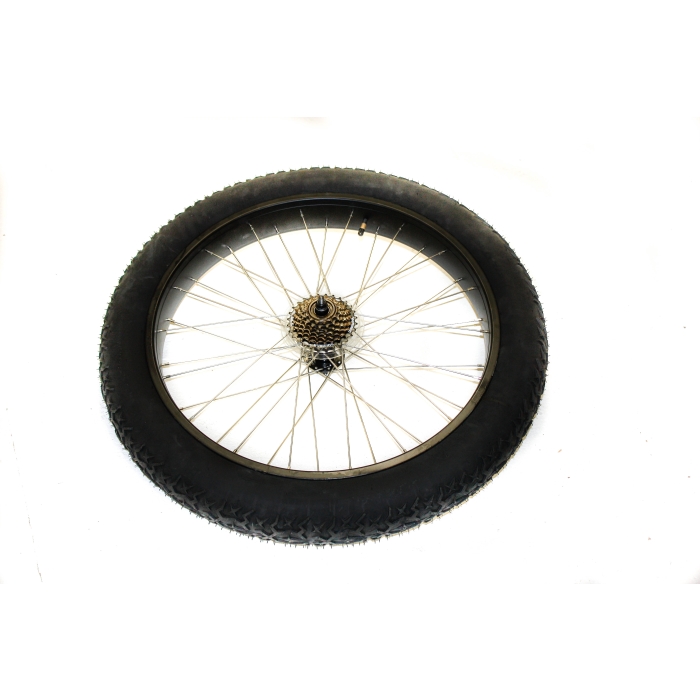 Bakhjul komplett Fatbike