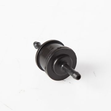 Canister solenoid valve