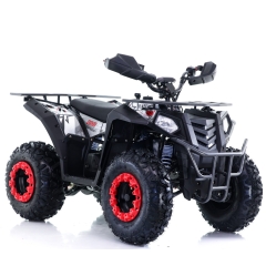 ATV Viarelli Hunter 150cc 10" 60 km/t