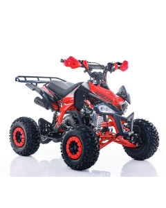 Firehjuling Viarelli Agrezza 110cc 55 km/t