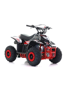 Firehjuling Viarelli Agrezza 90cc