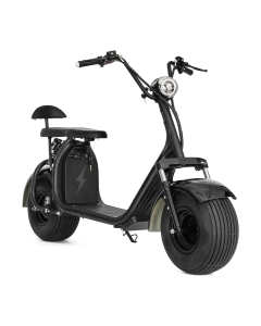 Elektriske kjøretøy fra X-PRO, Fatboy 1