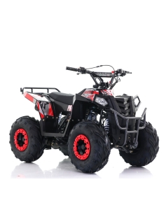 ATV Viarelli Hunter 110cc 7" 45 km/t