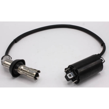 IGNITION COIL COMP. ?EFI)
