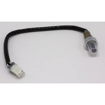 Oxygen sensor ?EFI)