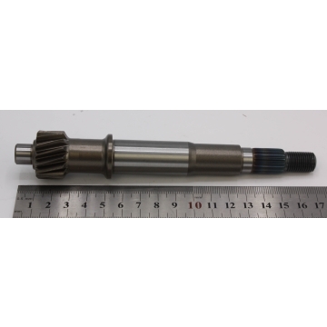 Input shaft