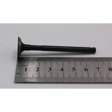 Exhaust valve