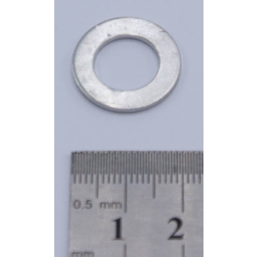 Oil drain plug gasket ( ø
