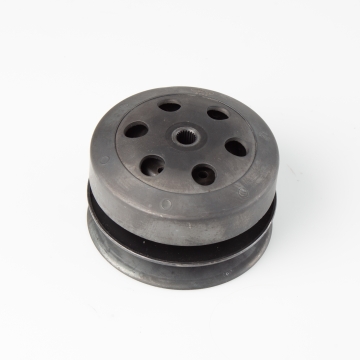 Variator Bakre