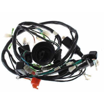 Main Harness