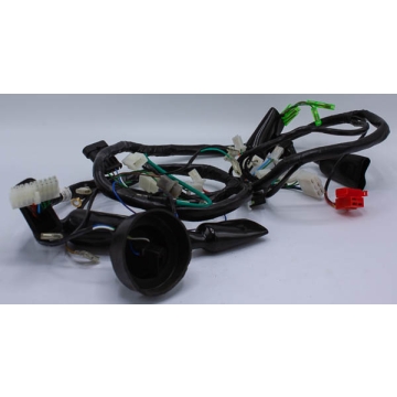 Main Harness 556
