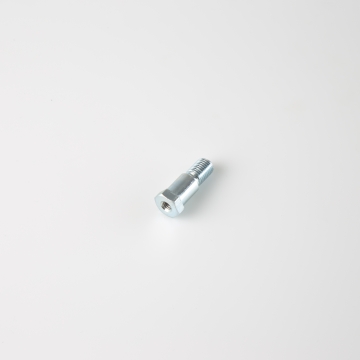 Side Stand Bolt