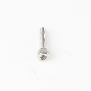 Skruv M5x20 Insex Silver