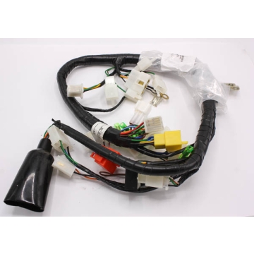 Main Assy