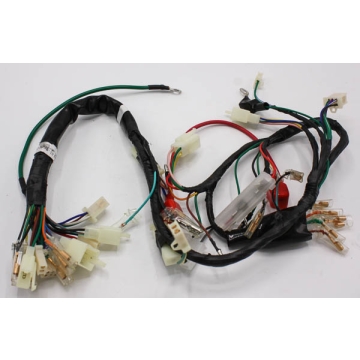Wiring  Harness