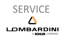 Servicedelar Lombardini DCI / HDI